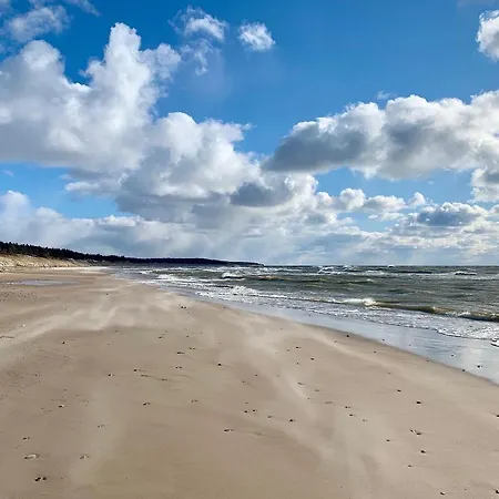 Arunes - Daukanto * Palanga