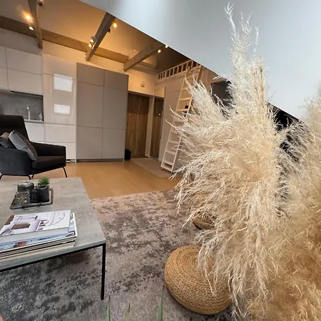 Arunes - Daukanto Apartament