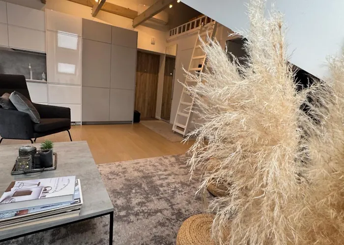 Arunes - Daukanto דירה